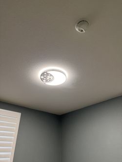 Flush Mount Ceiling Light