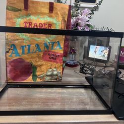 Best Starter Fish Tank Set Up!  All You Need!!!