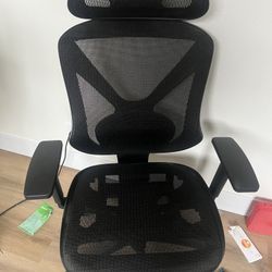 Like New Ergonomics Computer Chair 