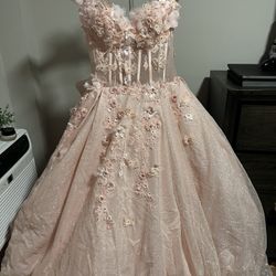 Pink Quinceañera Dress