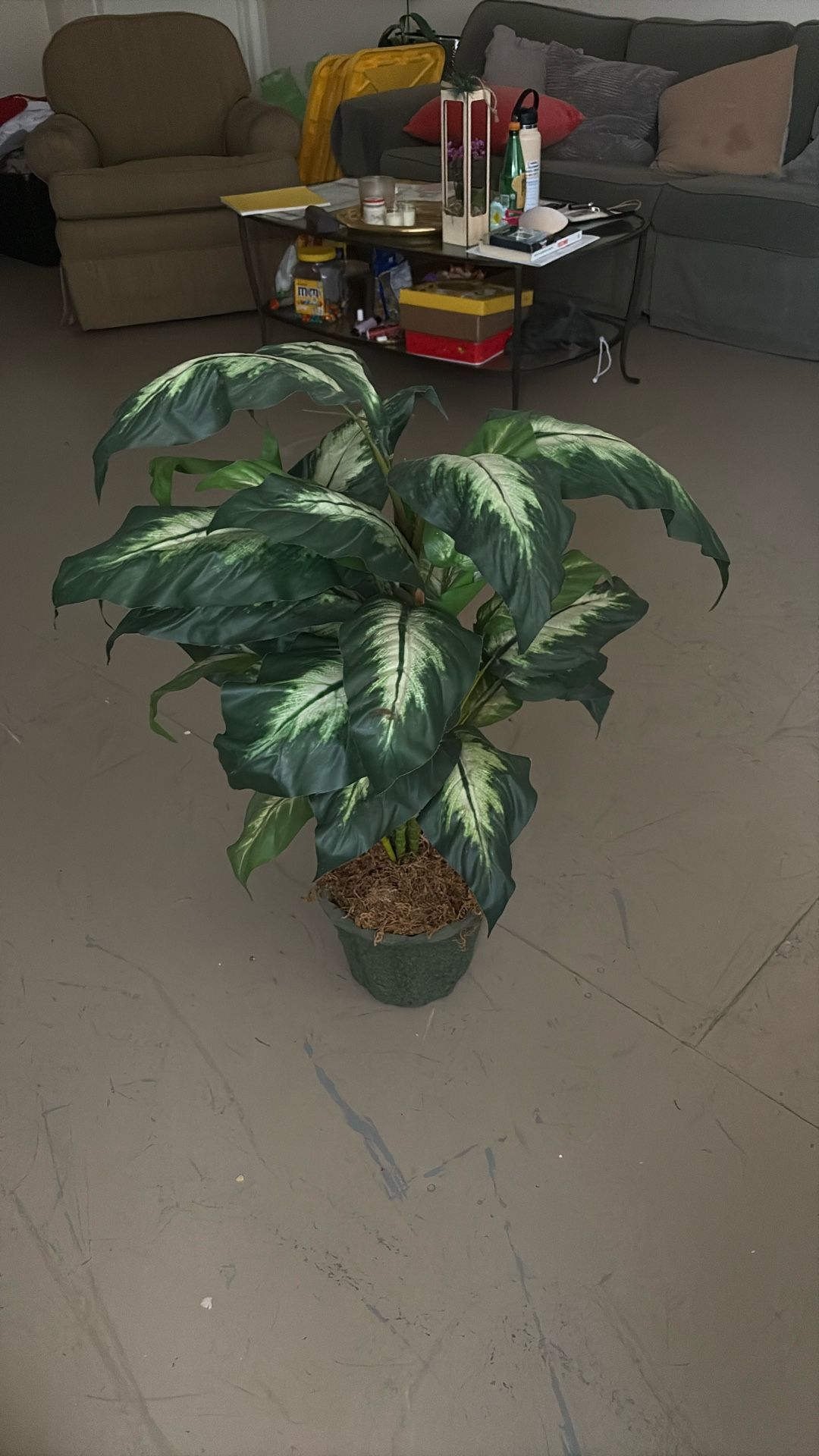 Artificial Dieffenbachia seguine Plant
