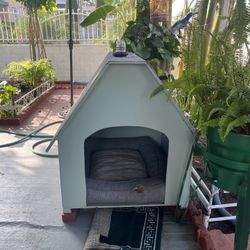 Dog House 