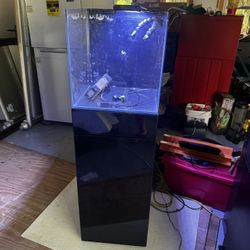 20 Gallon Jbj Aquarium With Stand and Accessories