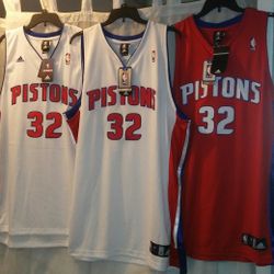 Detroit Pistons Rip Hamilton Jerseys