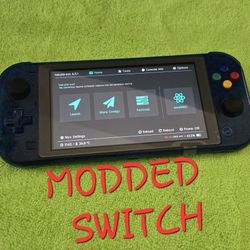 Nintendo Switch Lite With Chip