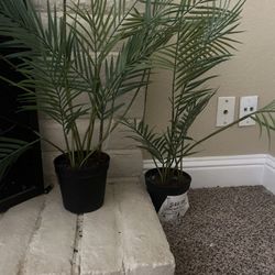 Fake Plant