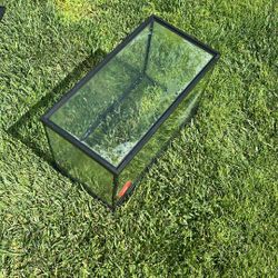 10 Gallon Fish Tank With Decoration