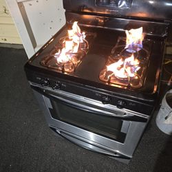 Estufa Everything Works Well 