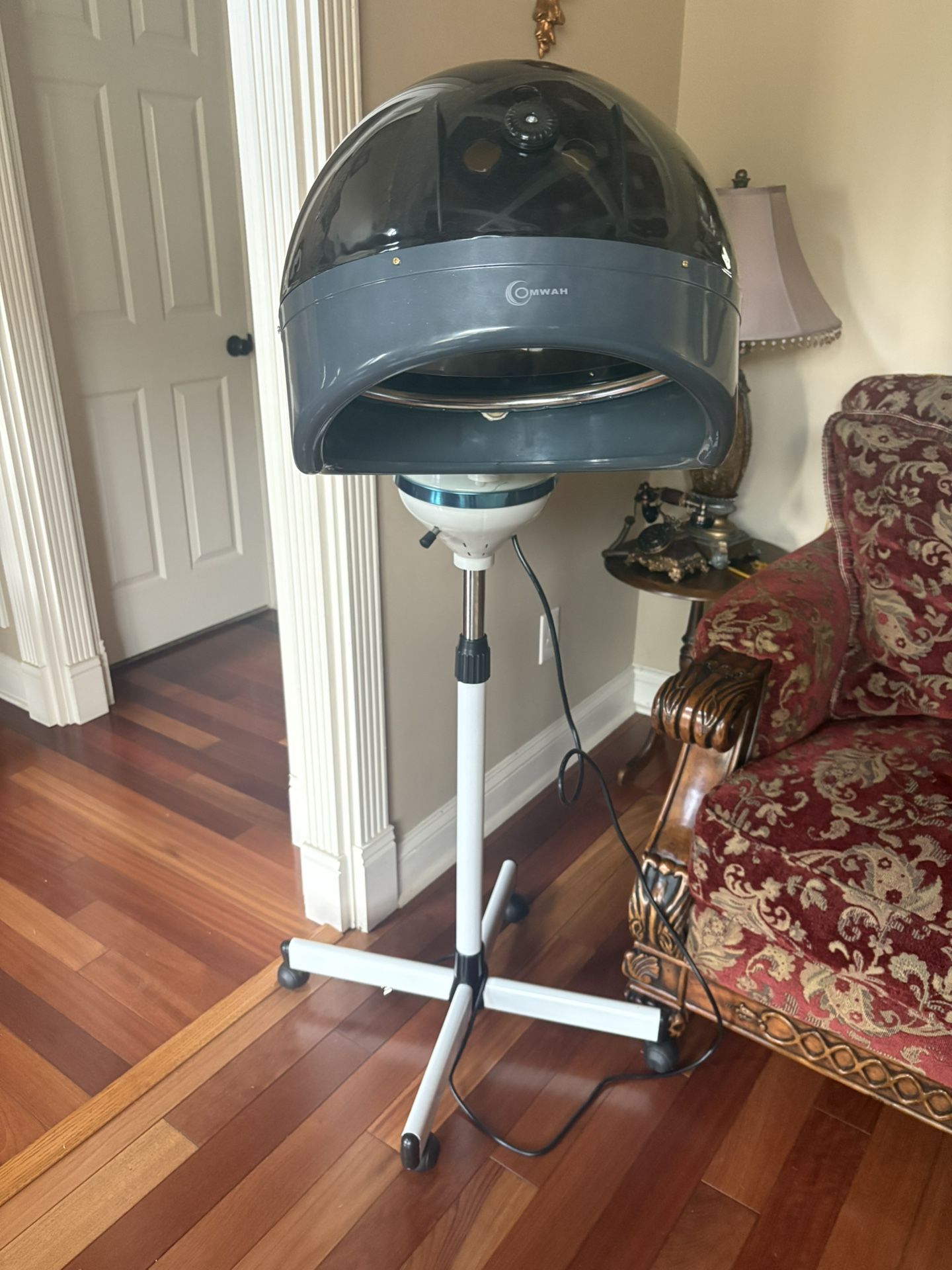 Hair Steamer