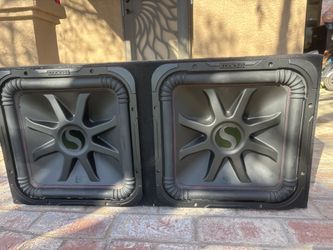 Two 15in Subwoofers