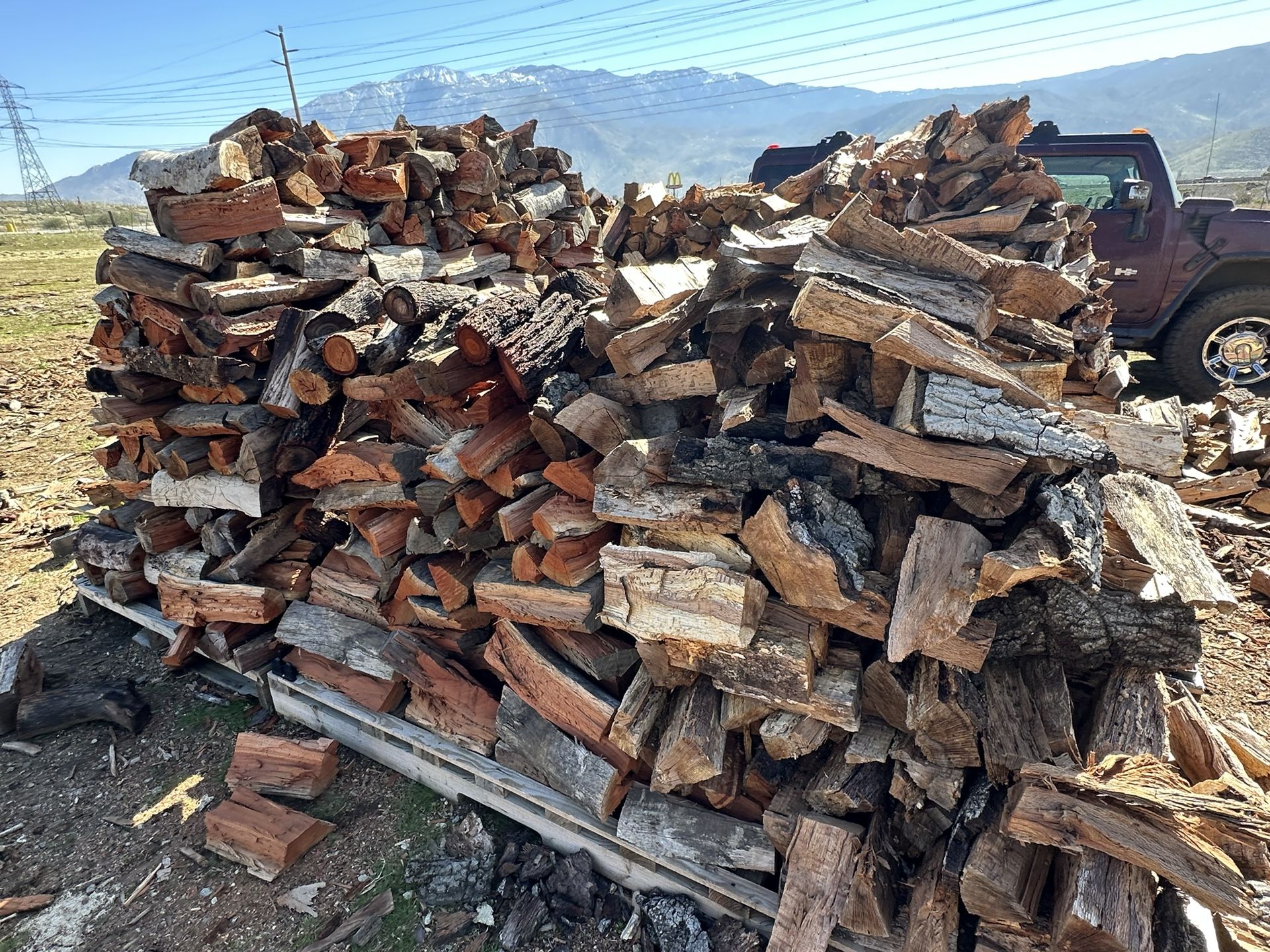 Eucalyptus Firewood True Cord