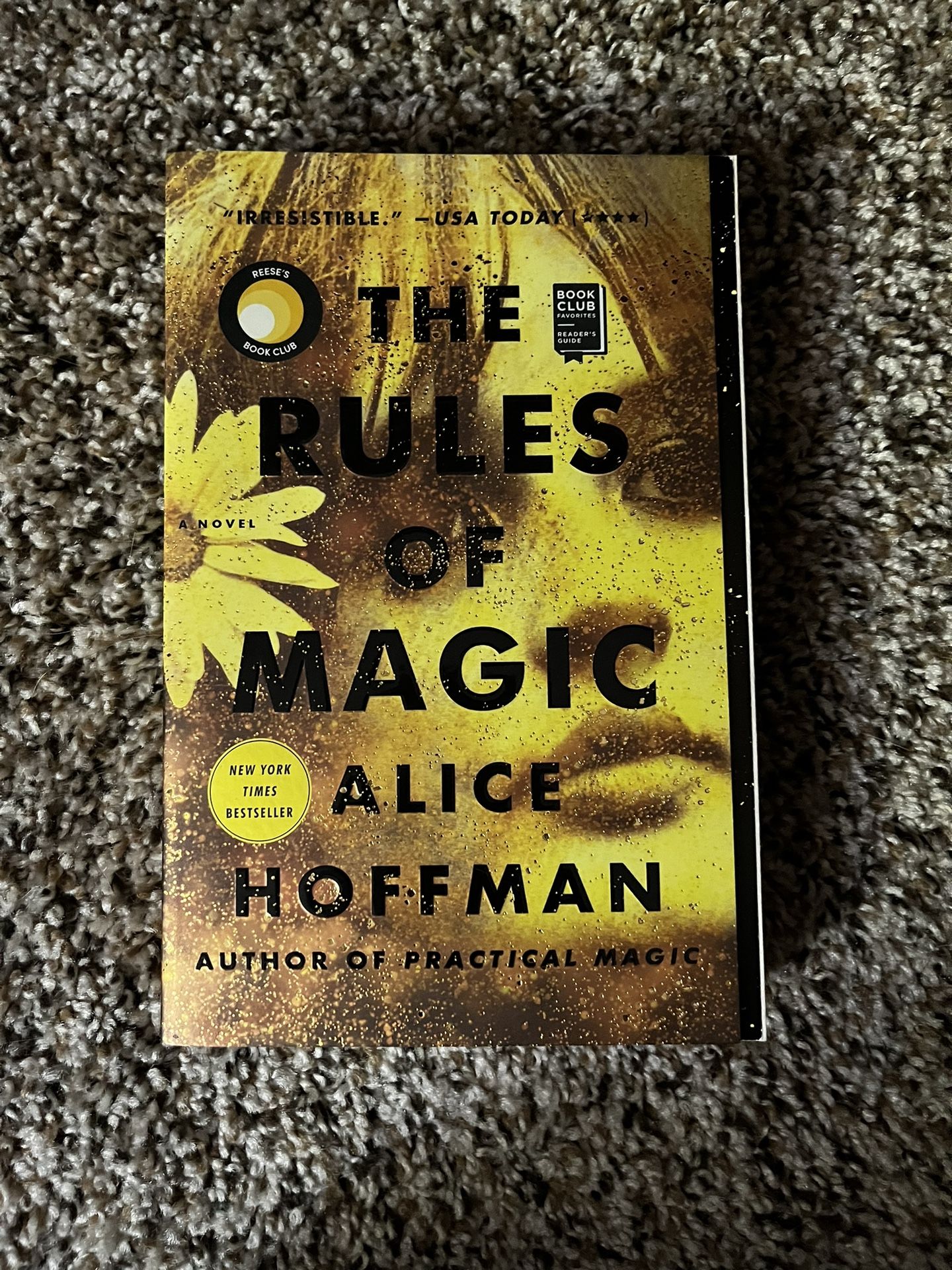 The Rules Of Magic Alice Hoffman Book
