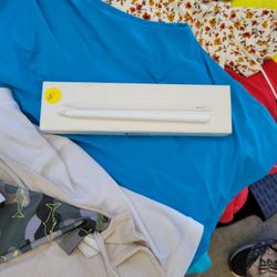 Apple 🍎  Pencil  2da Generation 