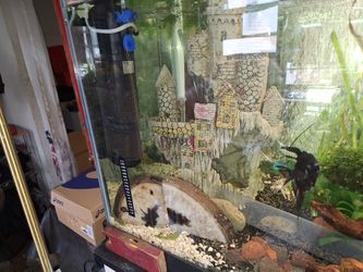 Large Aquarium Decoration