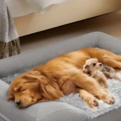 Dog Bed 