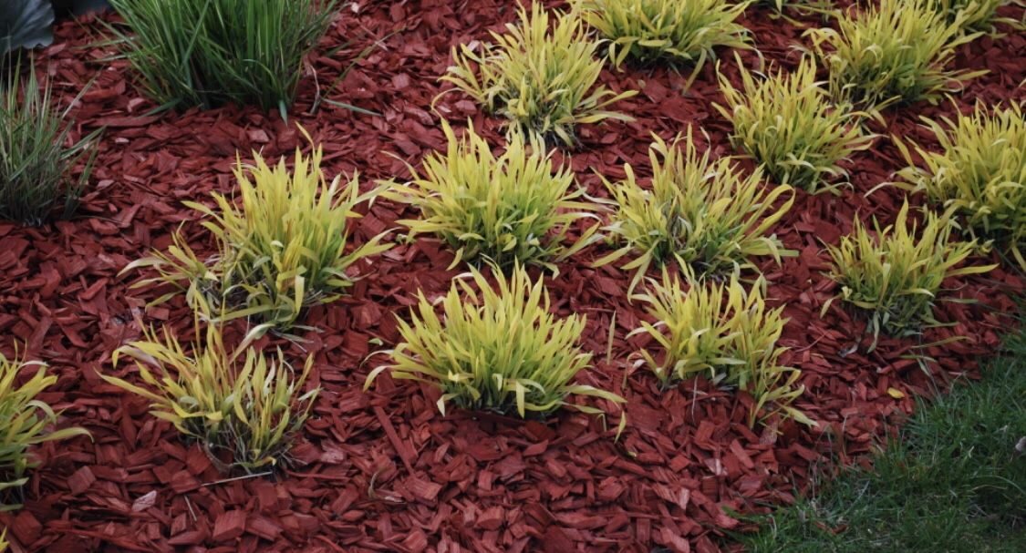 Rubber Mulch Pallet Any Color for Sale in Southwest Ranches, FL OfferUp