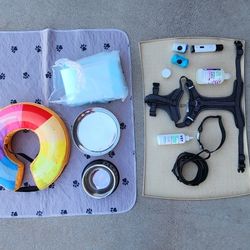 Dog Accessories