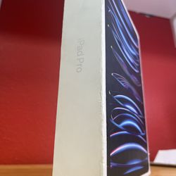 iPad Pro 4th Generation 512GB 11-Inch $80 Down Payment 