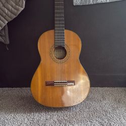 Luna Acoustics Guitar