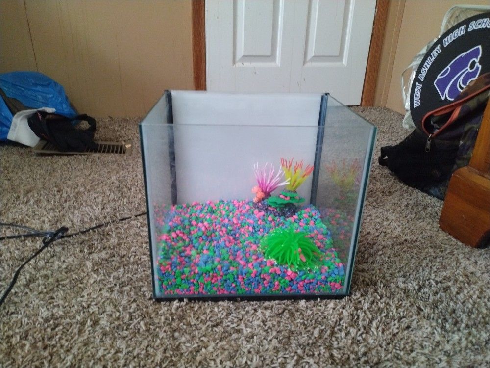 Glo Fish Tank