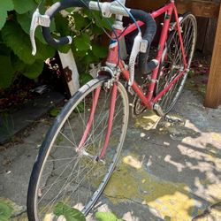 Vintage Project Bike 
