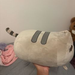 Pusheen plush!