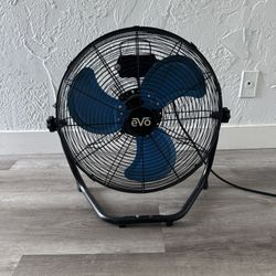 Fan