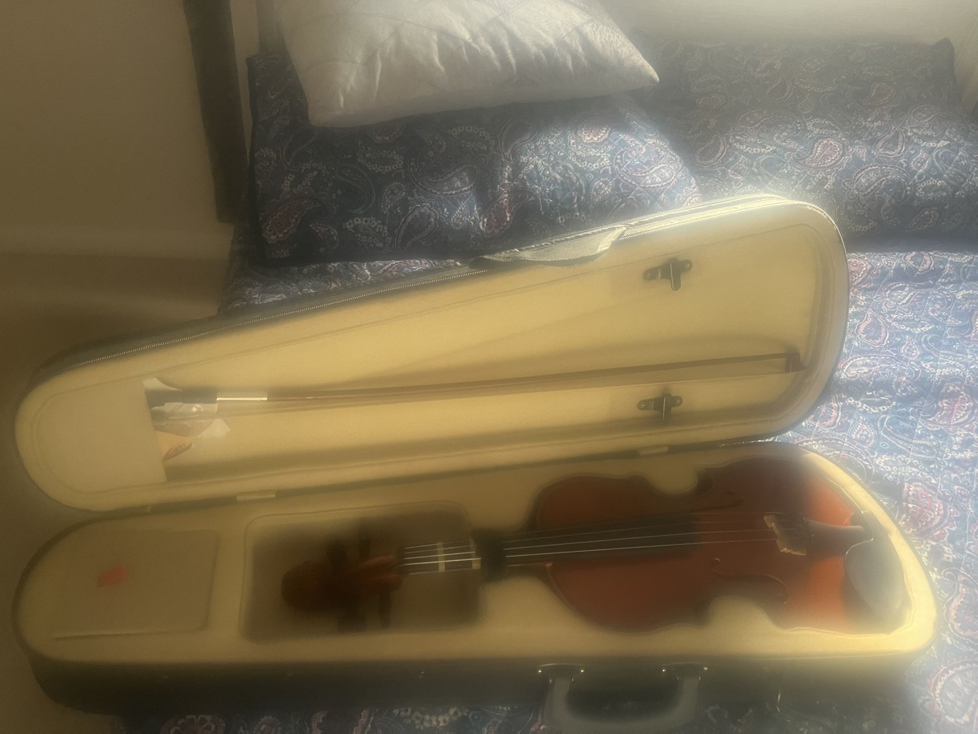 Violin