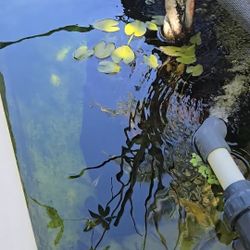 Aquarium 
