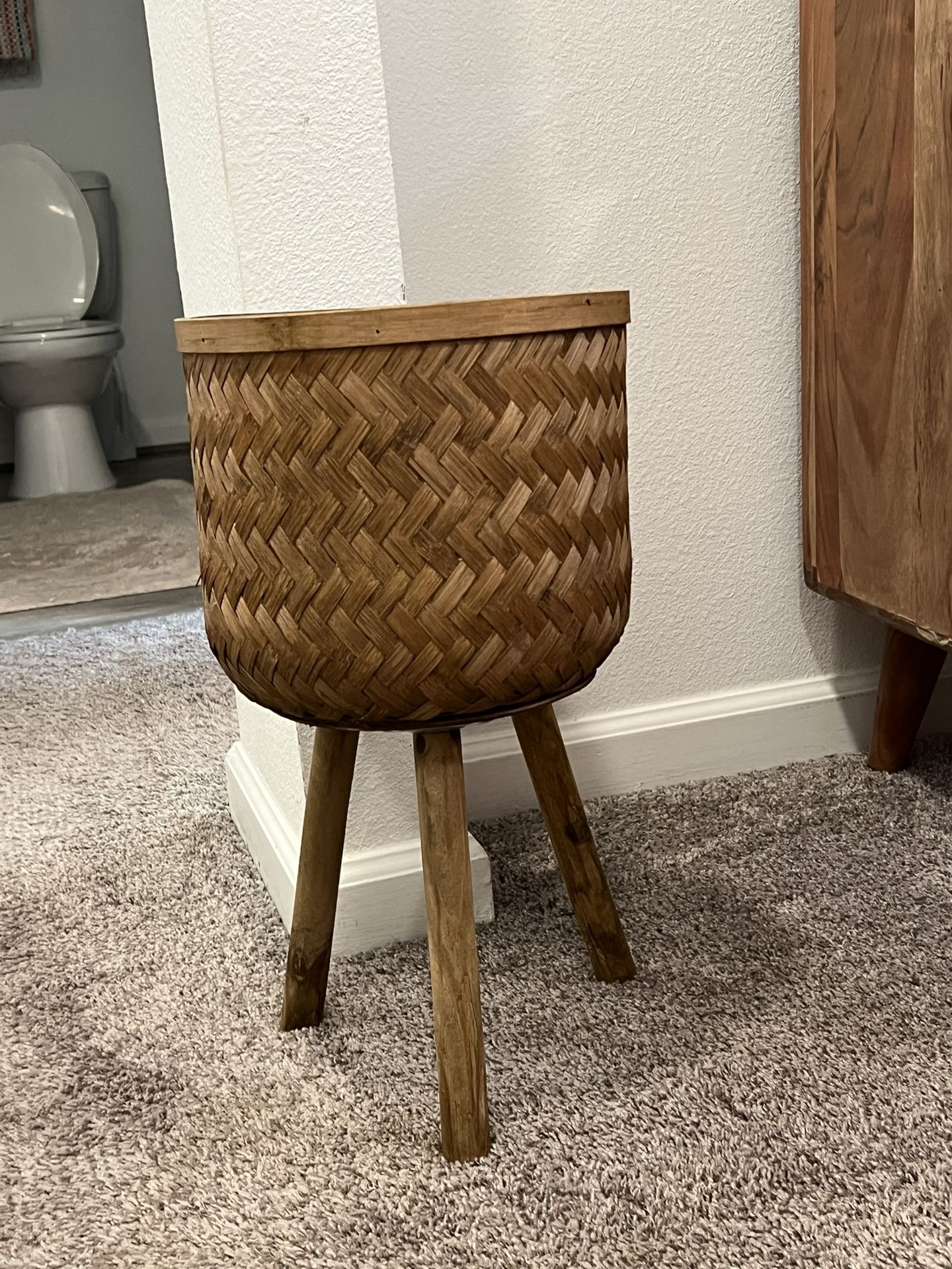 Medium Plant Base Holder