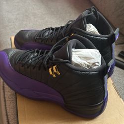 Air Jordan 12 Retro 