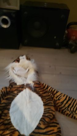 tiger costume