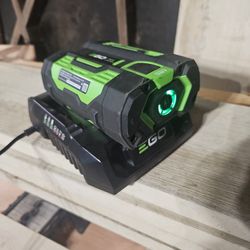 GO CHARGER 56 V WITH BATTERY 
