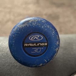 Baseball Bat