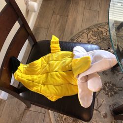 Banana Dog Costume