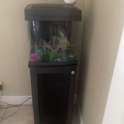Fish Tank 