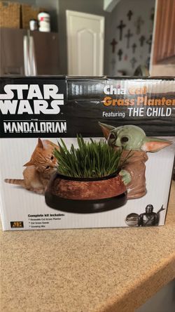 Star Wars - The Child - Mandalorian