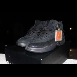 Air Jordan 12 Ovo (black)