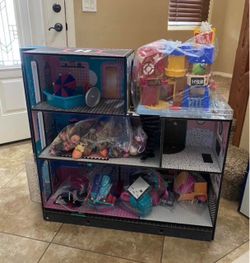 Brand new LOL dollhouse with over 100 dolls and accessories. $60 for all. Higley and ray.