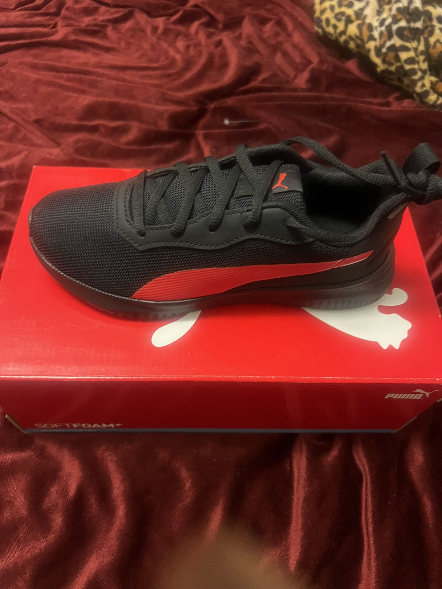 Puma