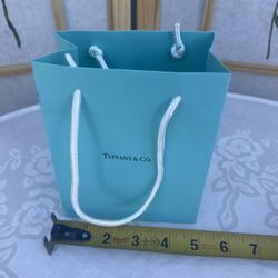Empty Tiffany Bag 