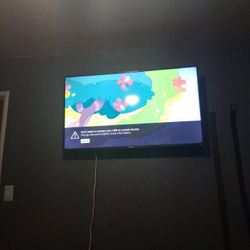 50 Inch Roku Tv