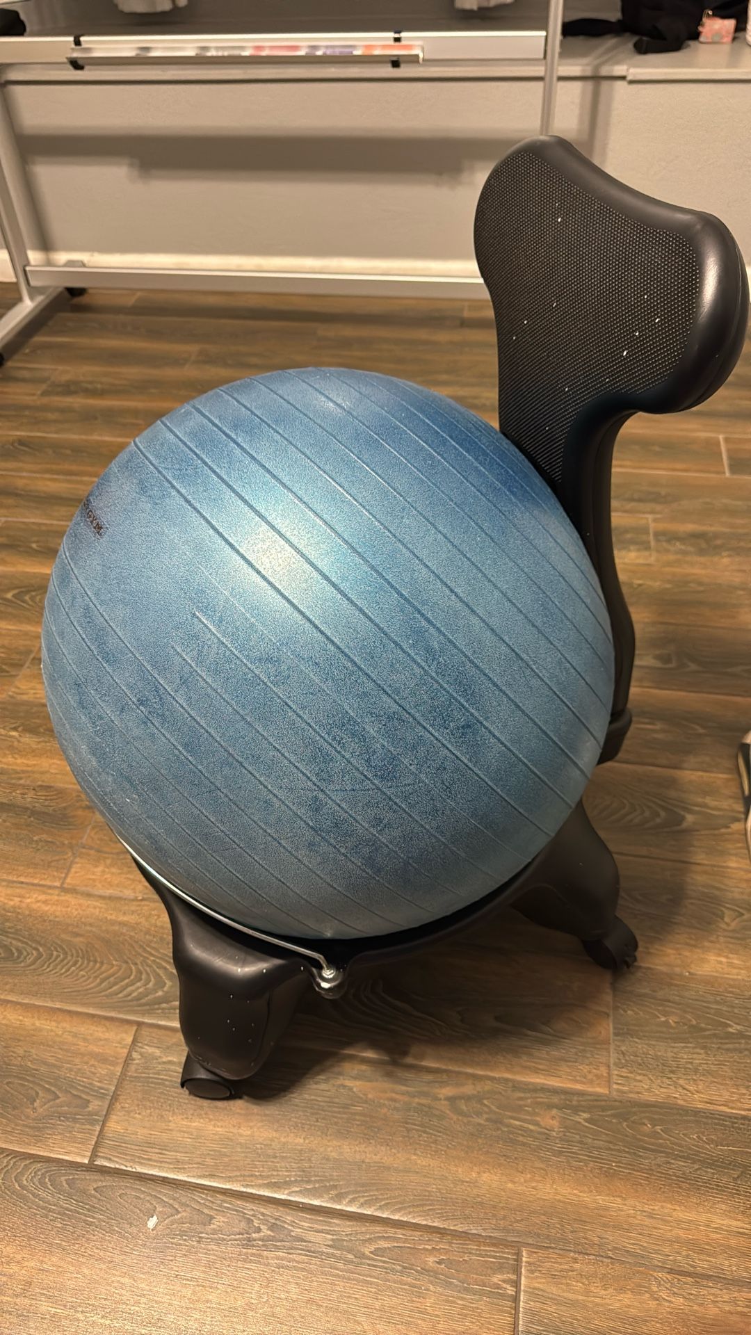 Balance Ball Chair