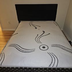 Queen Cotton Mattress & Velvet Frame