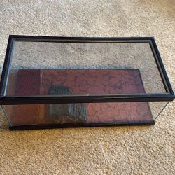 40 Gallon Tank + Hideout  