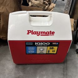 Camping and picnic cooler!