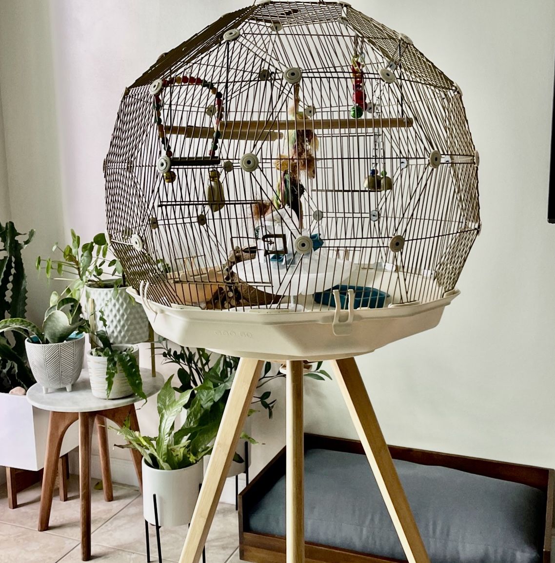 Geo Bird Cage By Omlet