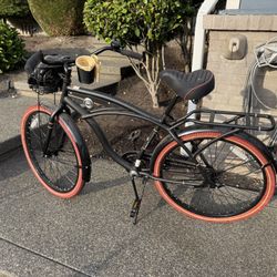 Adult bike 