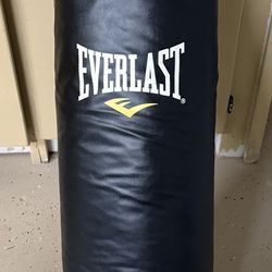 Everlast Punching Bag