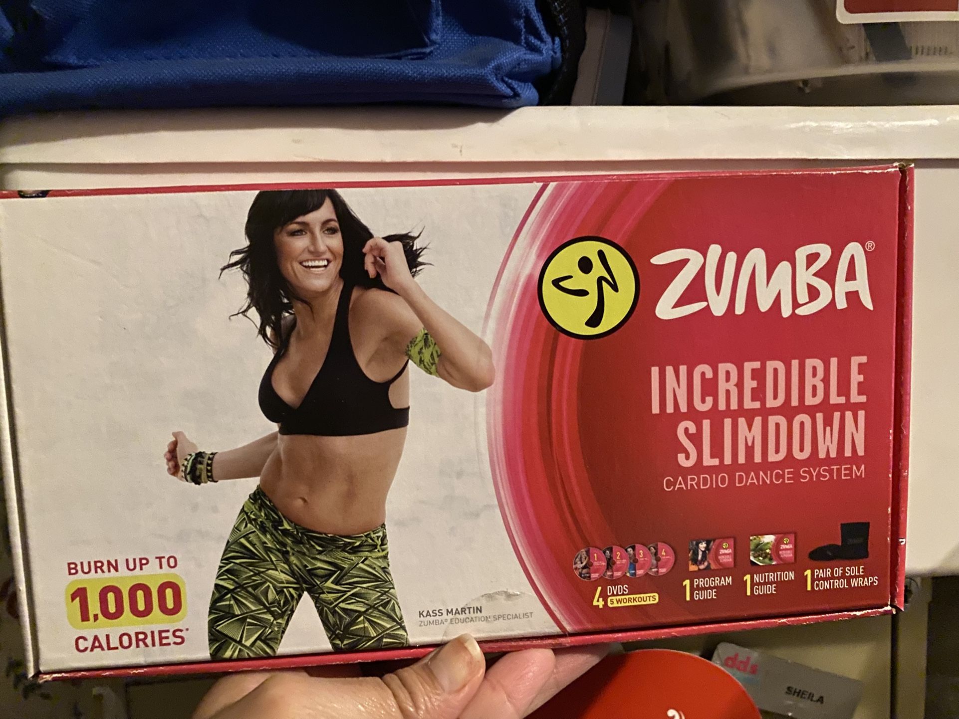 Zumba Cardio Dance System